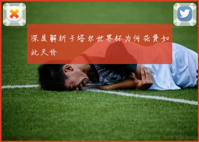 深度解析卡塔尔世界杯为何花费如此天价